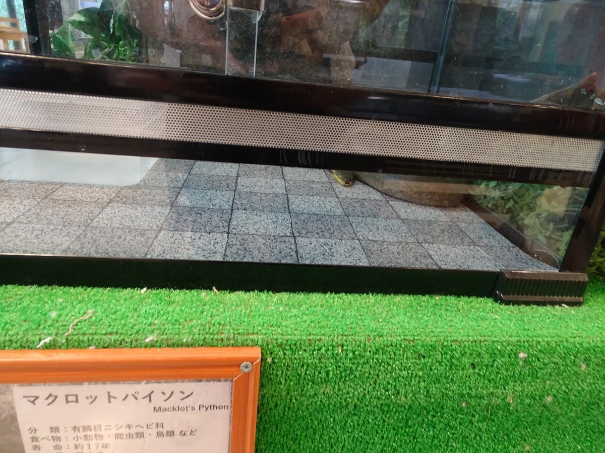 画像89
