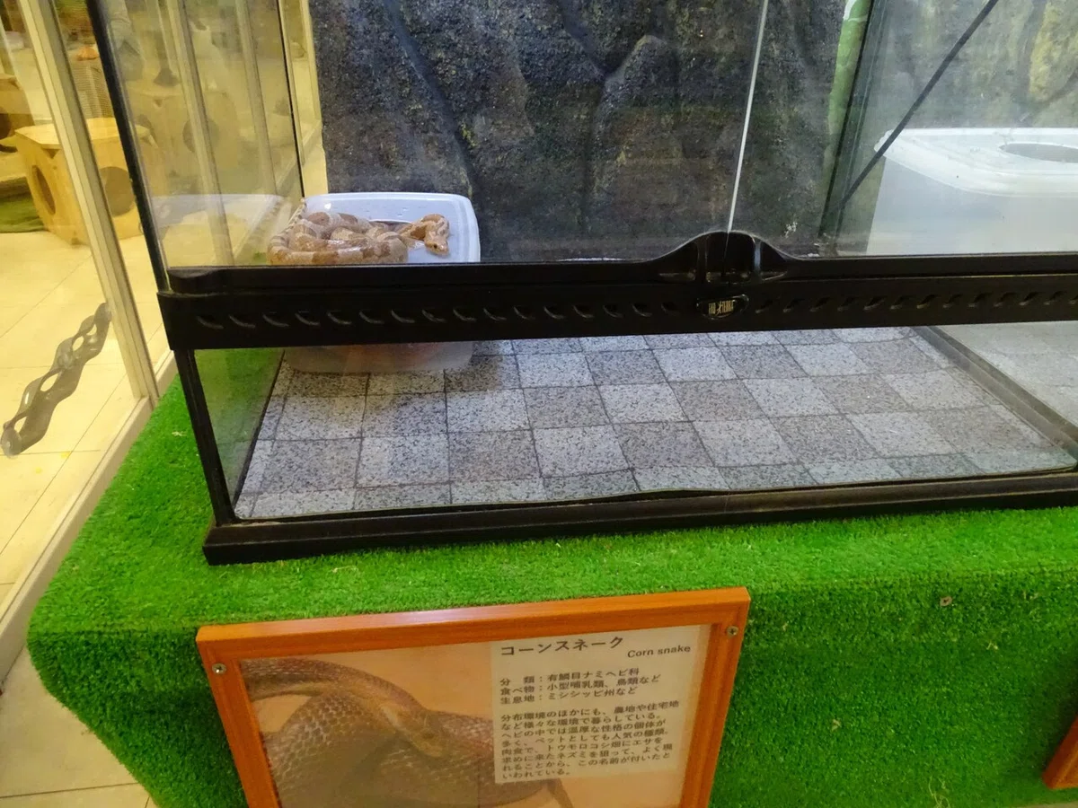 画像94