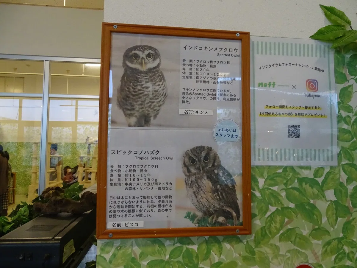 画像97