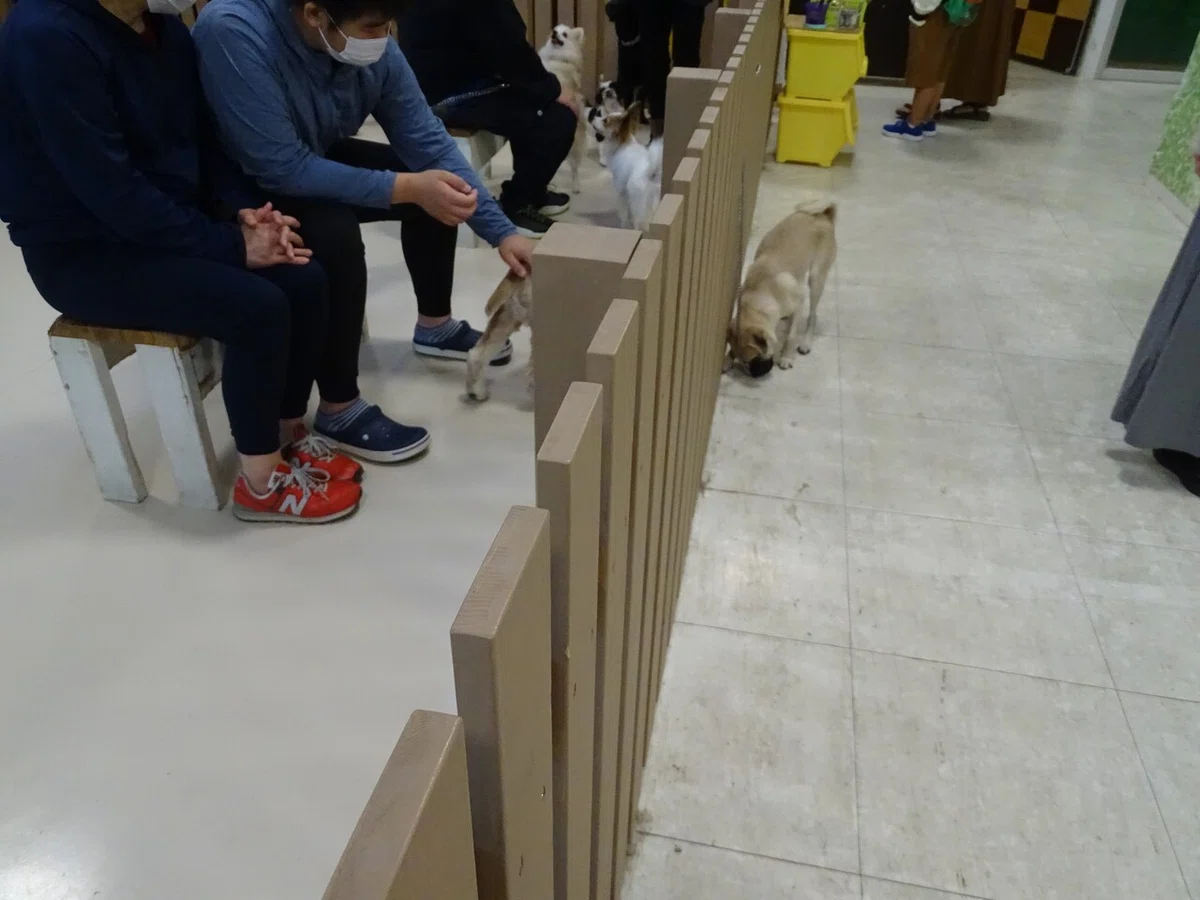 画像115