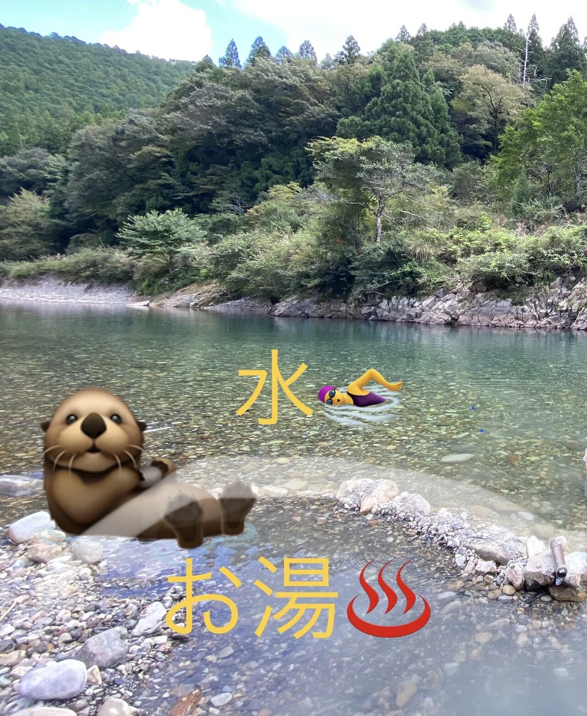 画像7