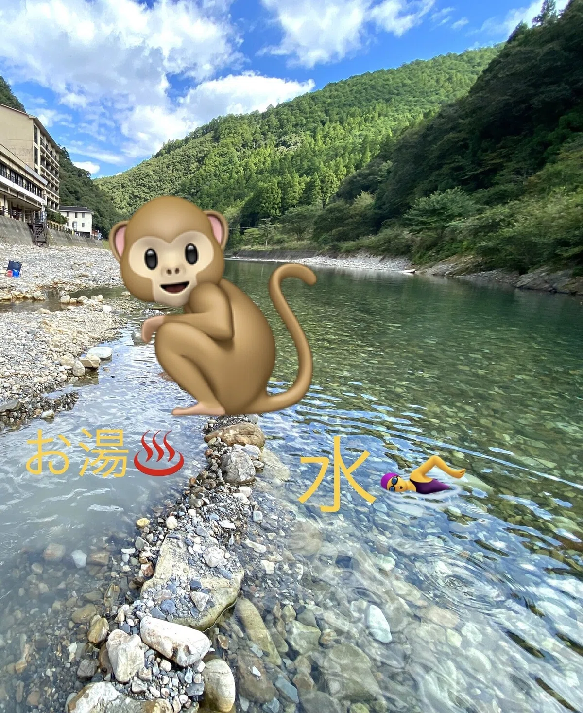 画像8