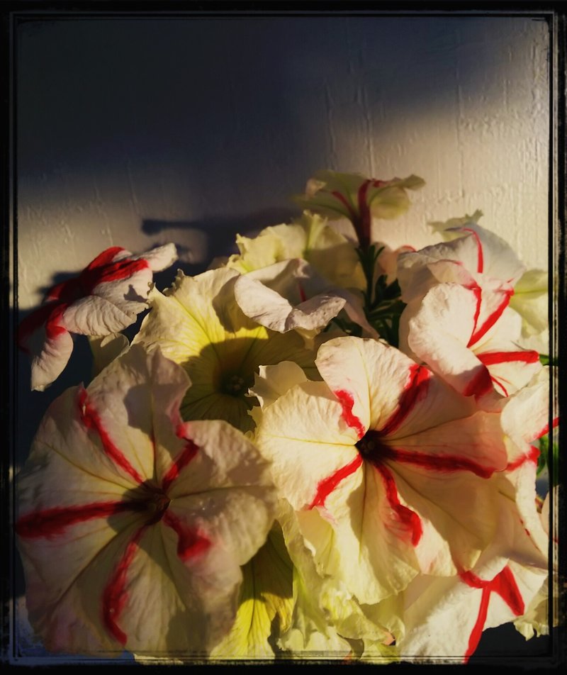 切り戻し の新着タグ記事一覧 Note つくる つながる とどける