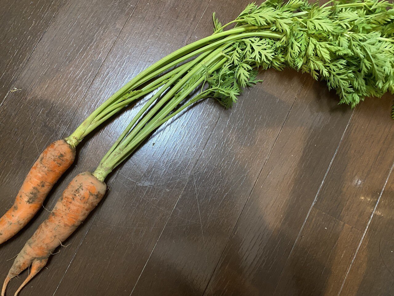 Sdgsレシピ 海苔みたいな香ばしさ にんじんの葉っぱの箸休め 麹町のフランス料理店 Note