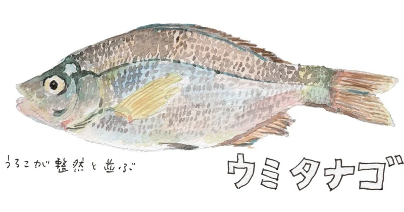 三浦半島 の新着タグ記事一覧 Note つくる つながる とどける