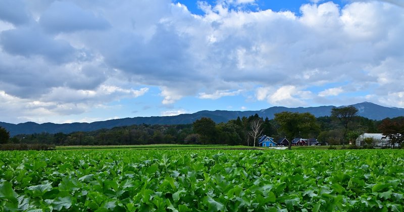 ホテル蒜山ヒルズ の新着タグ記事一覧 Note つくる つながる とどける ホテル蒜山ヒルズ の新着タグ記事一覧 Note つくる つながる とどける