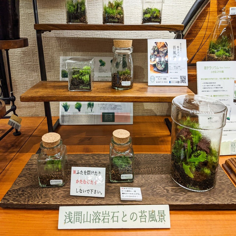 小さな箱庭に癒される 苔テラリウムのすすめ 横田裕市 写真家