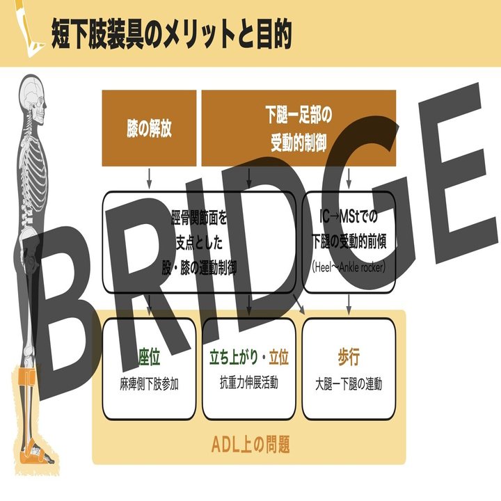 最も完璧な ☆美品 脳卒中片麻痺患者の歩行トレーニングにおける 長