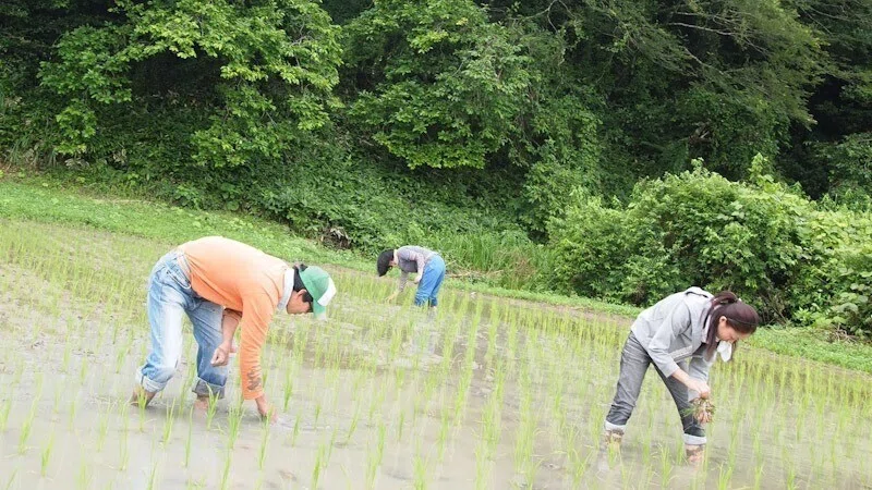 画像8