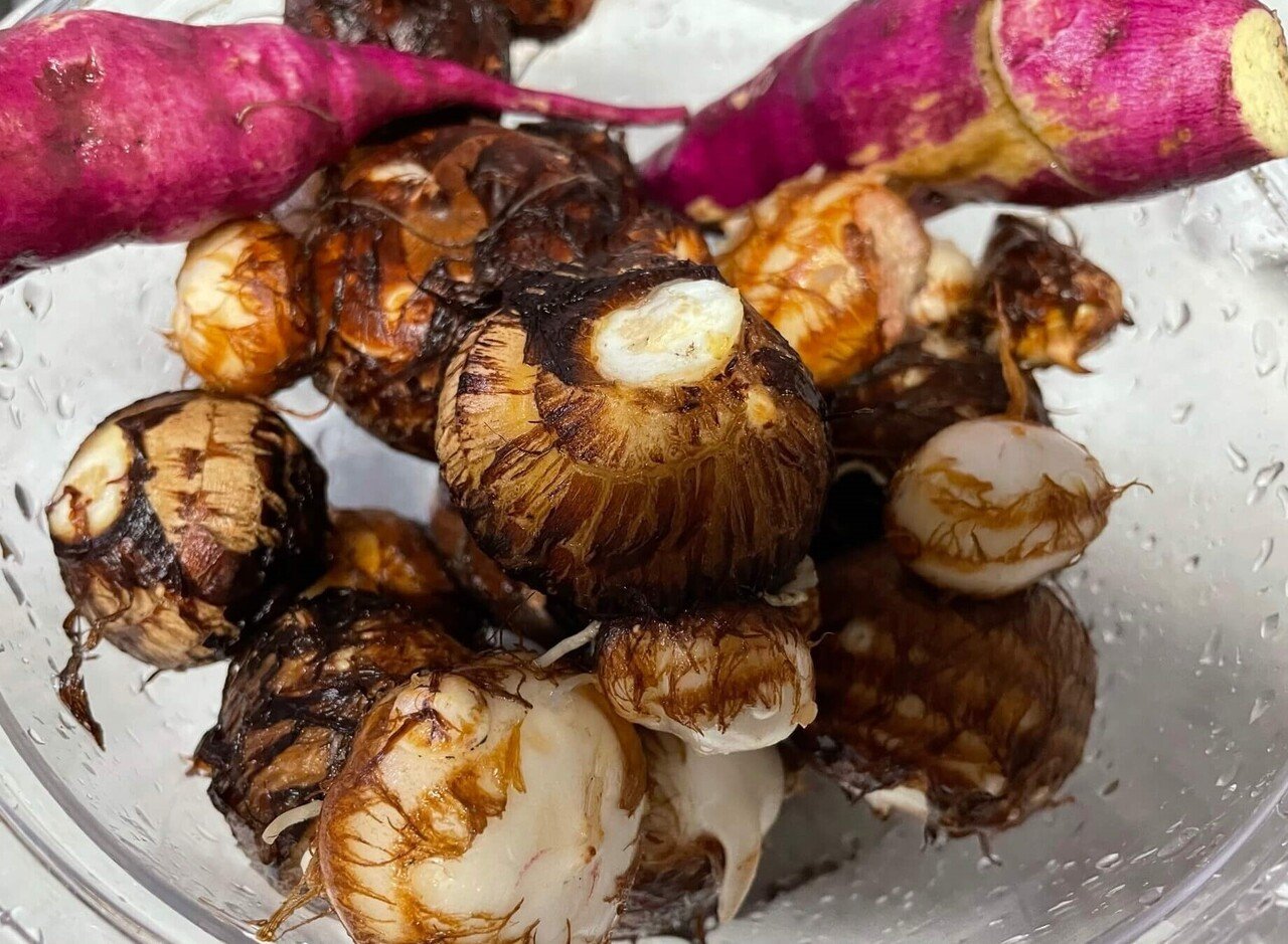 里芋の収穫と失敗談 食彩アドコム 食こそ温故知新 Note 里芋の収穫と失敗談 食彩アドコム 食こそ温故知新 Note