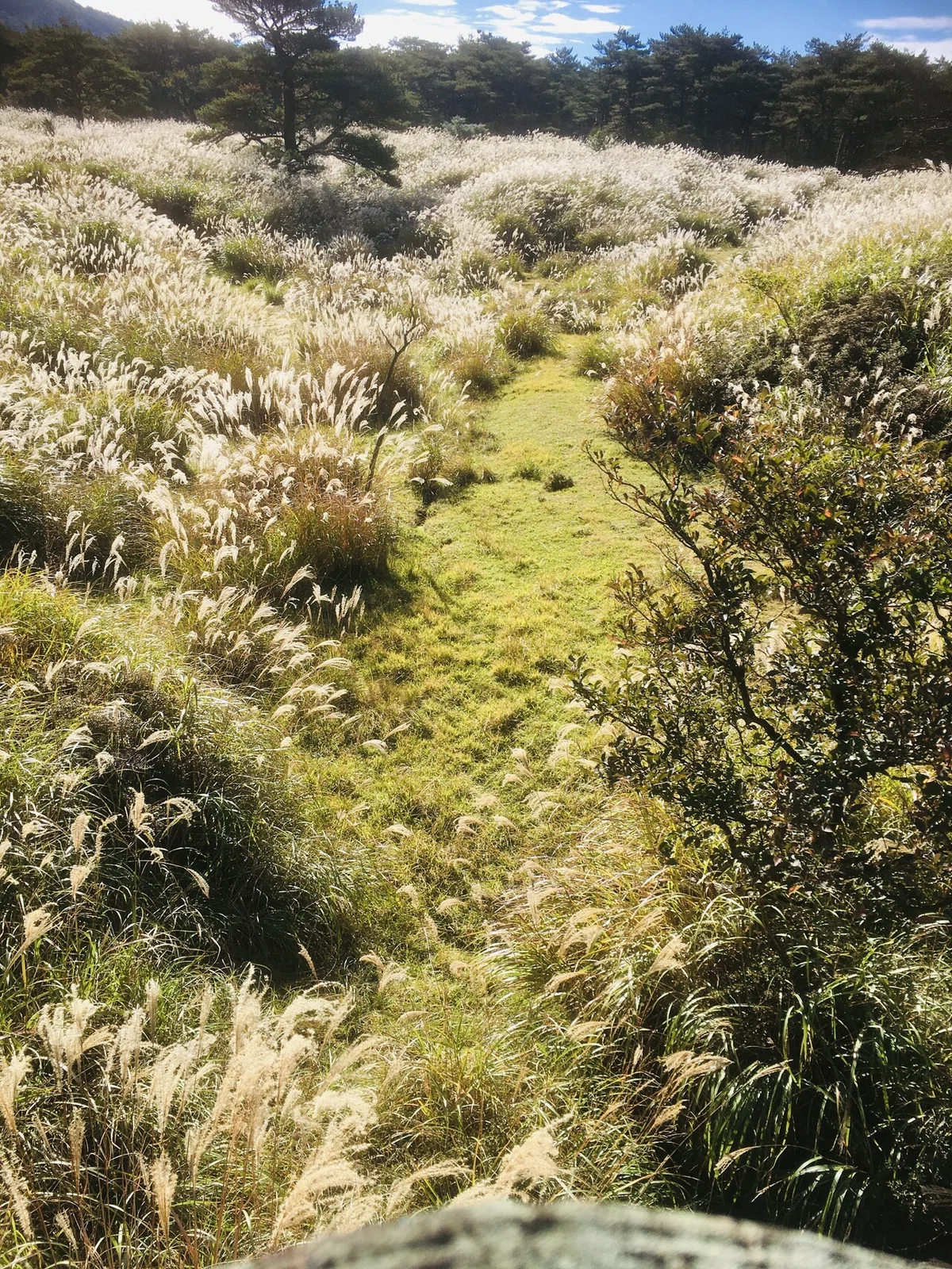 画像8