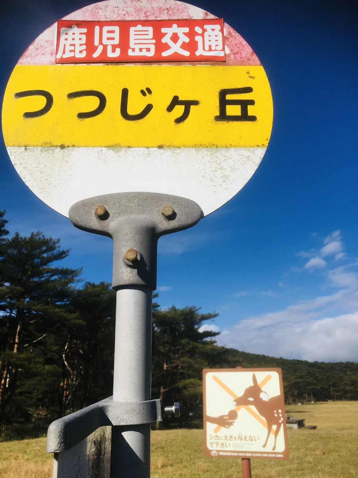 画像11