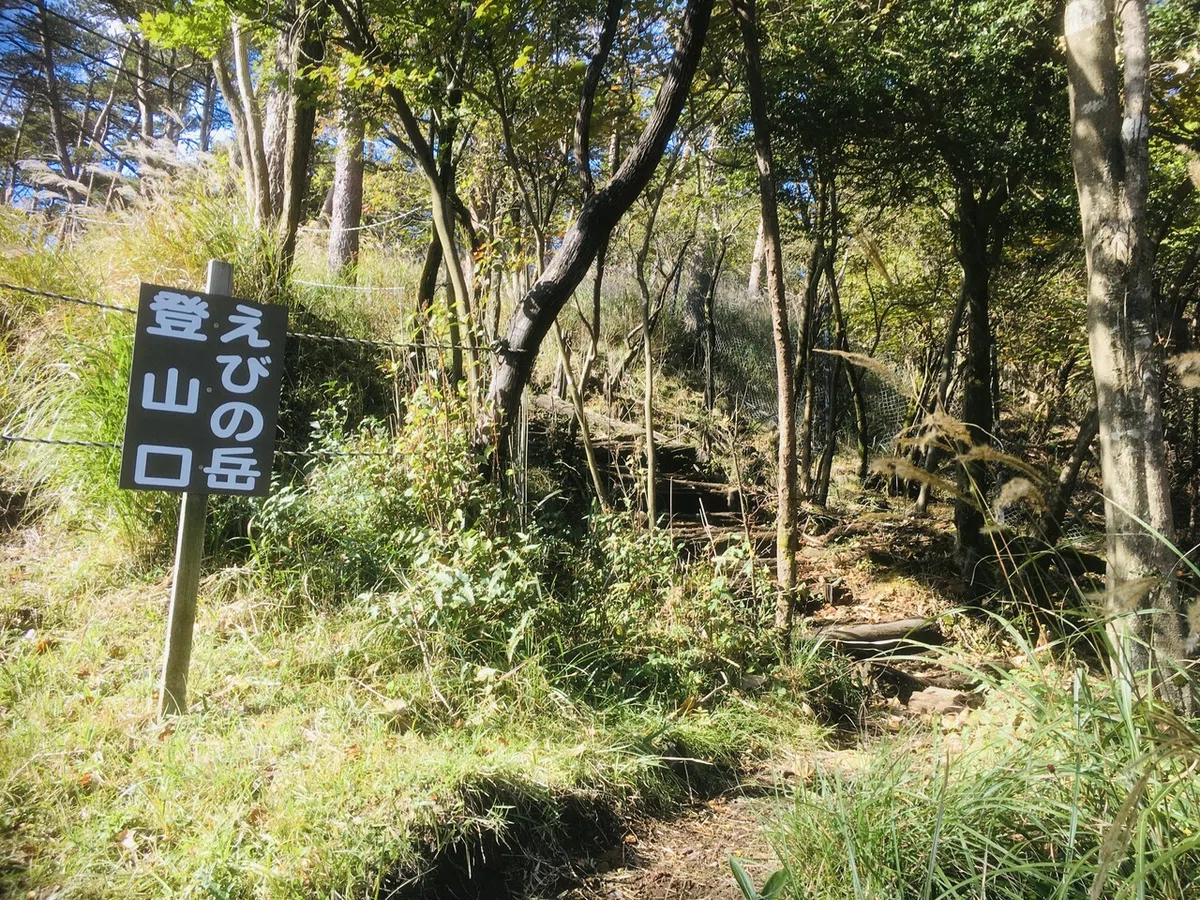 画像12