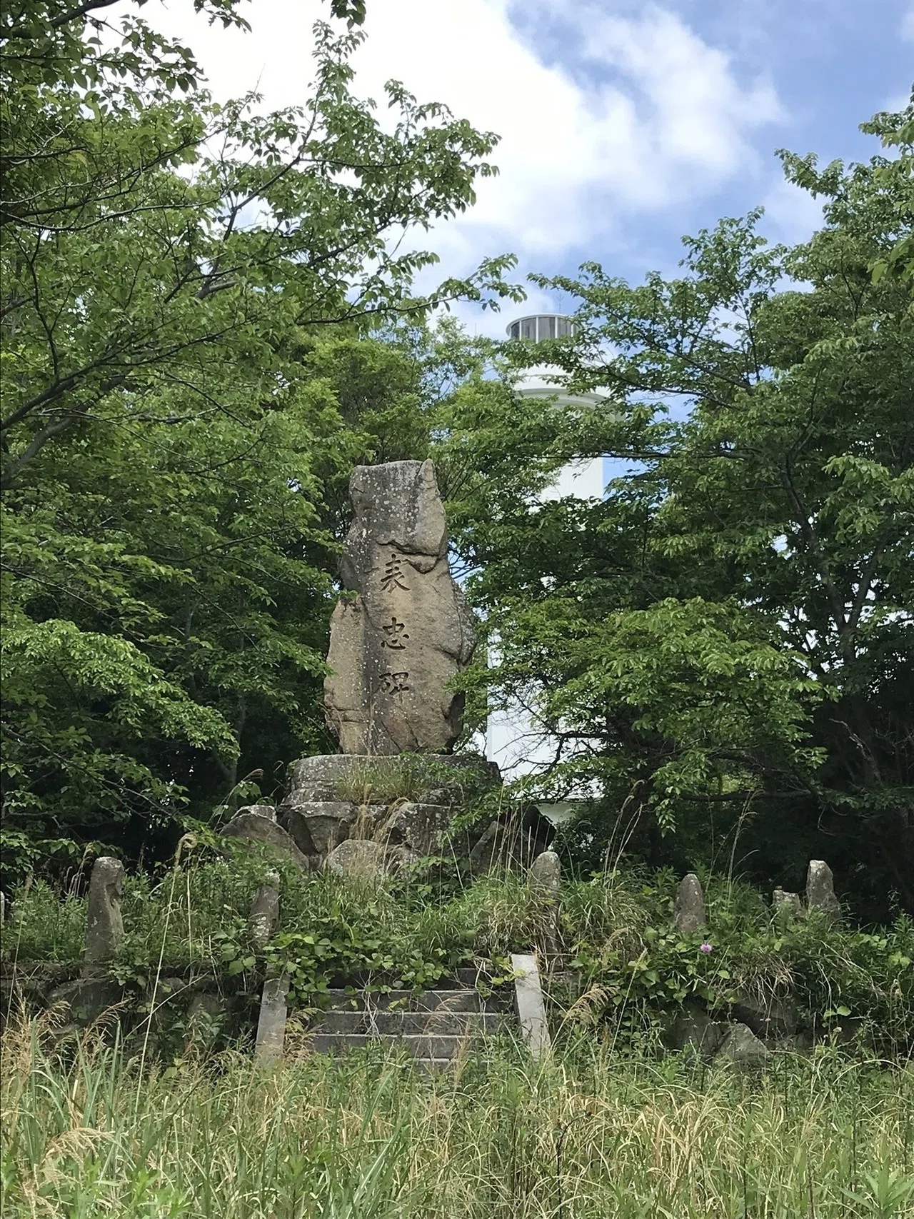 画像12