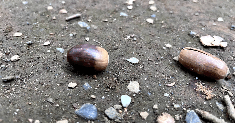 末端冷え性、今冬を乗り切れるか