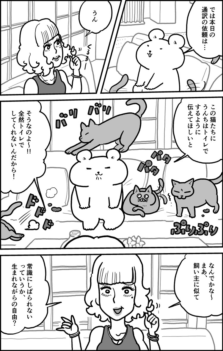 くまちゃんのどうぶつ通訳 やじま けんじ