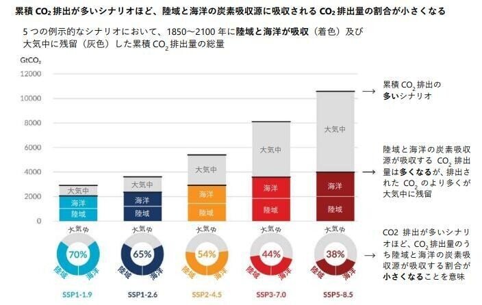 海洋と森林