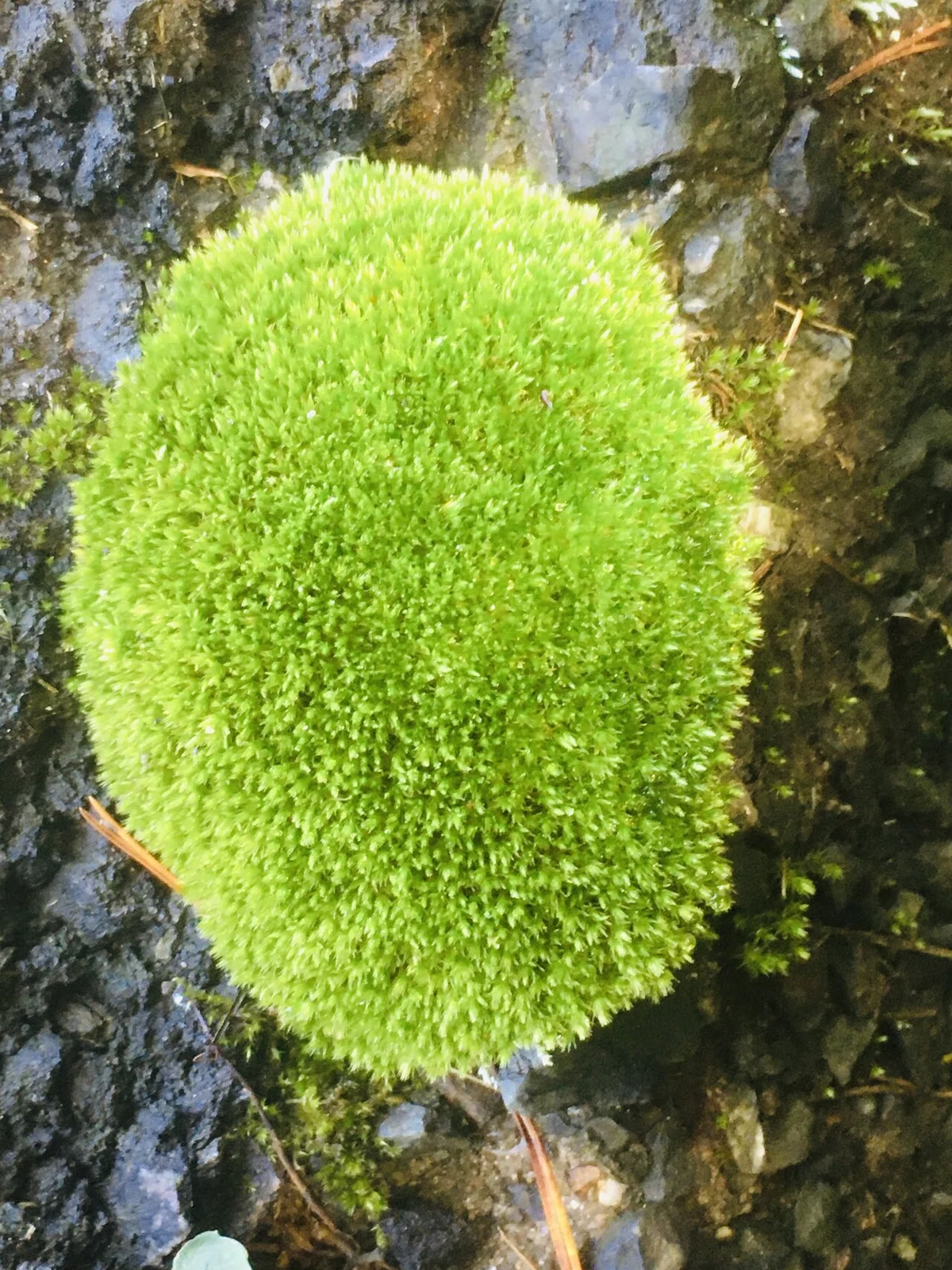 画像18