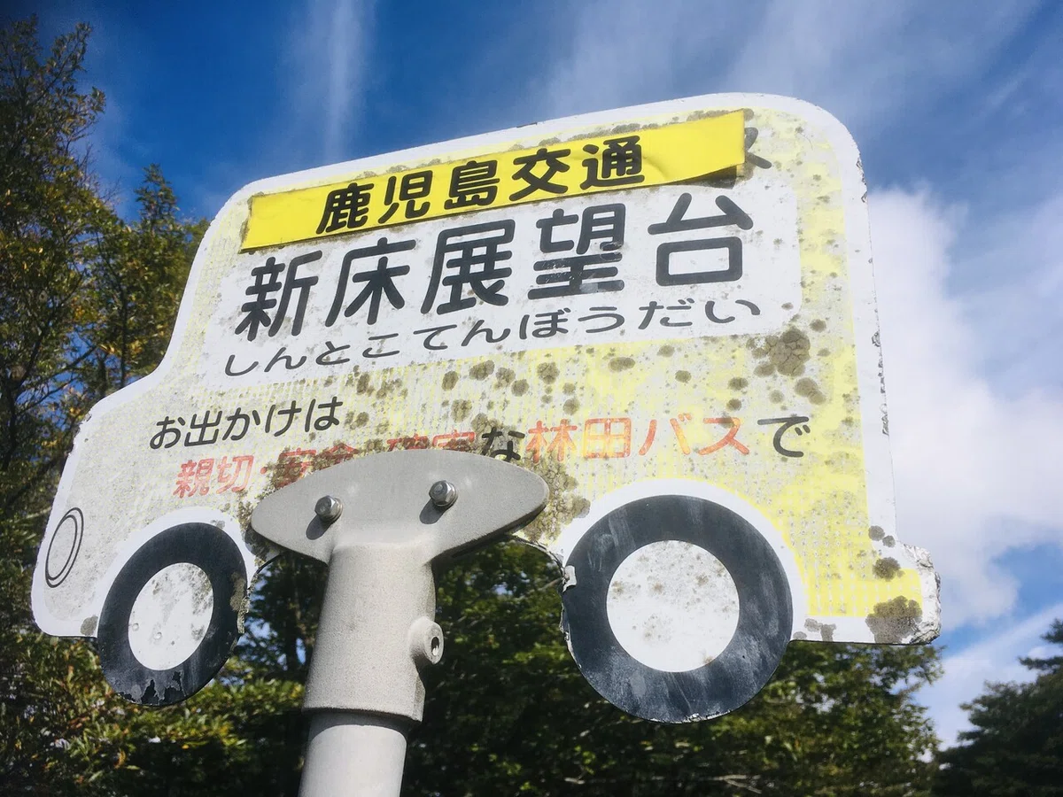 画像19