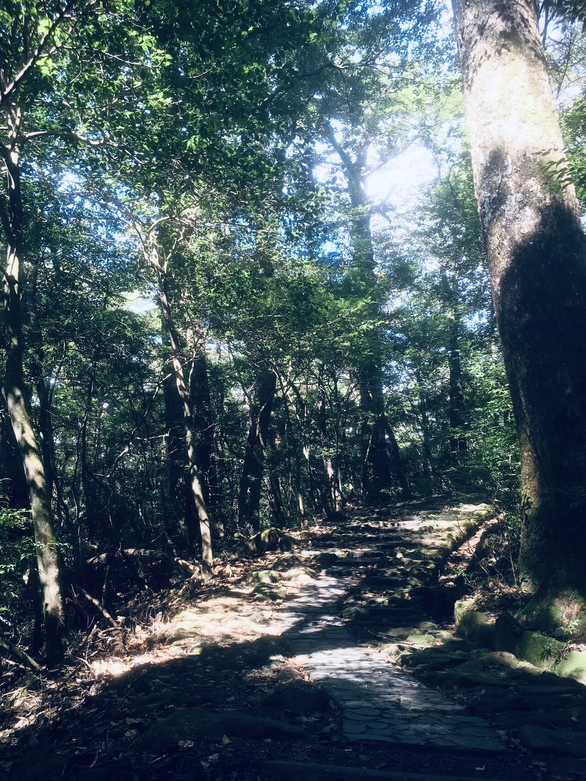 画像23