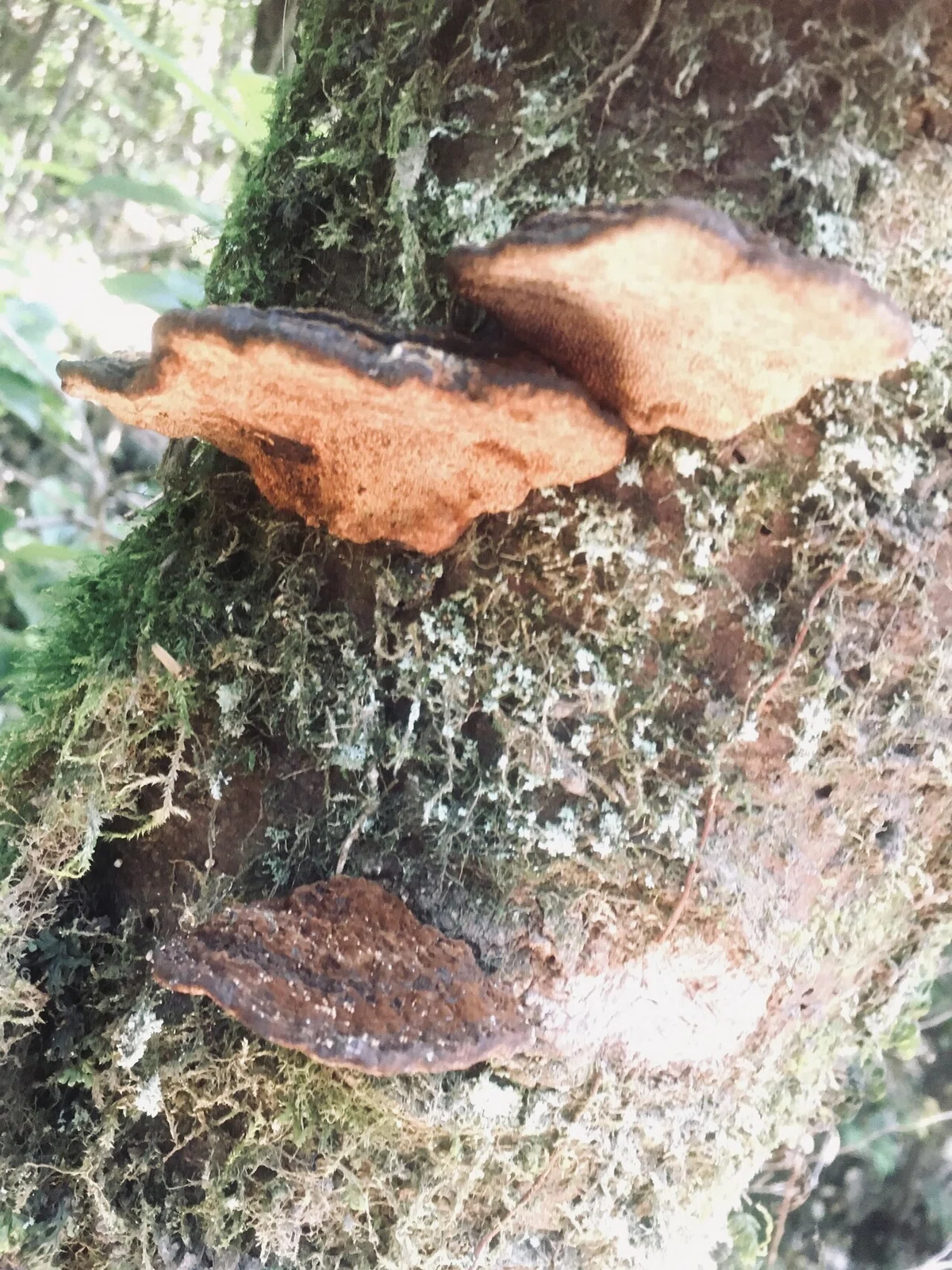 画像25
