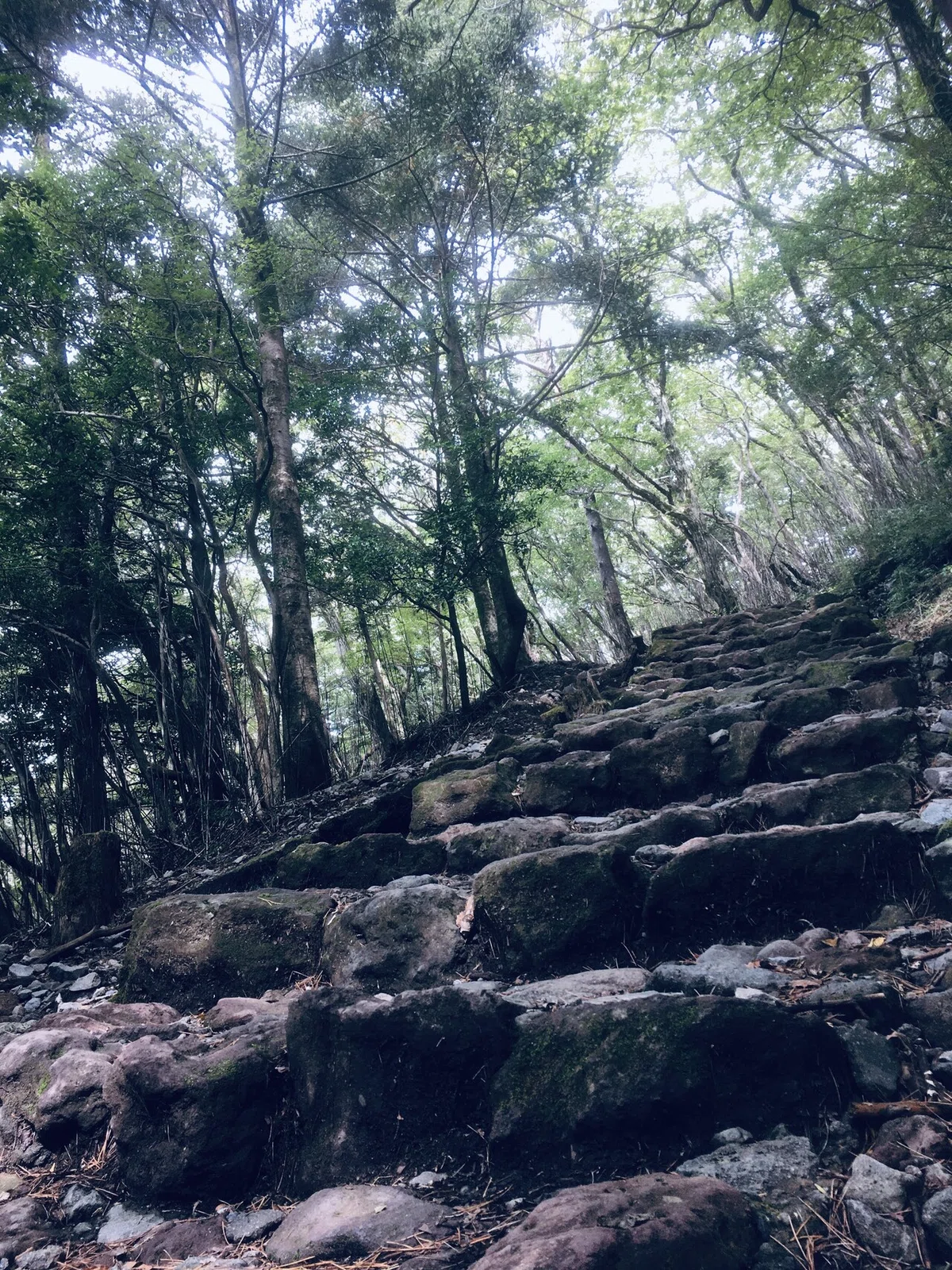 画像27