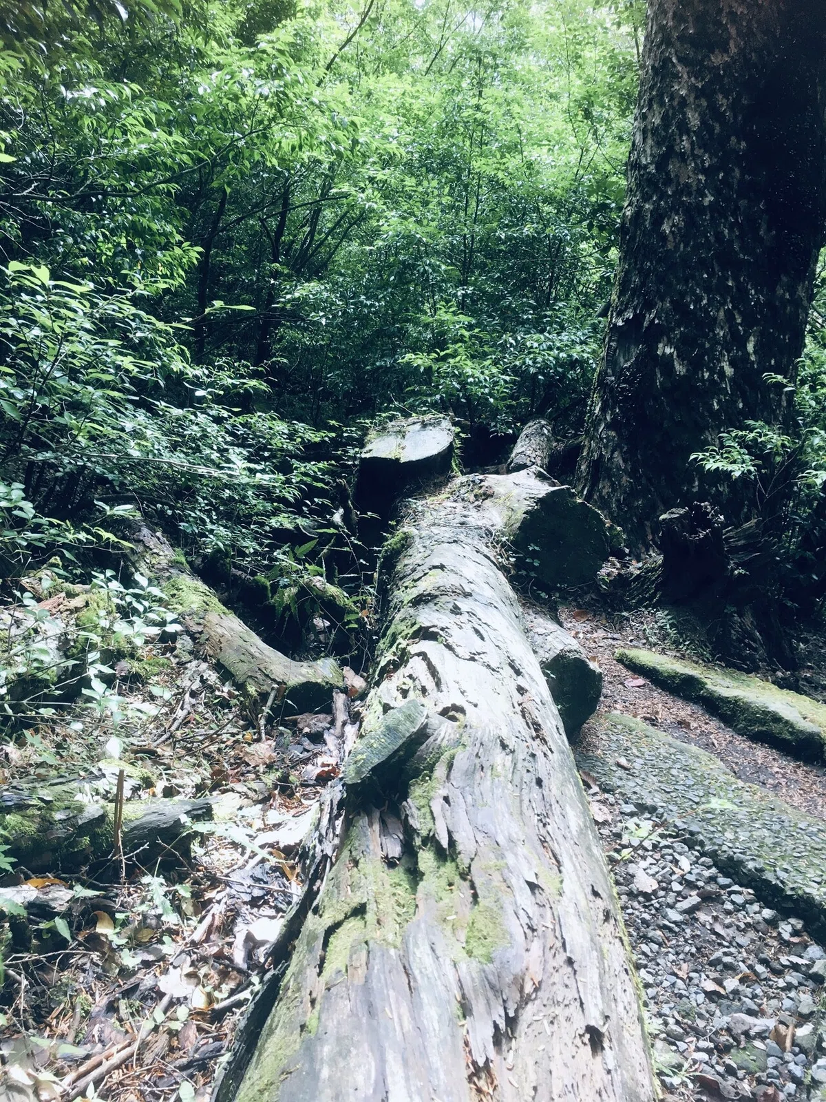 画像29