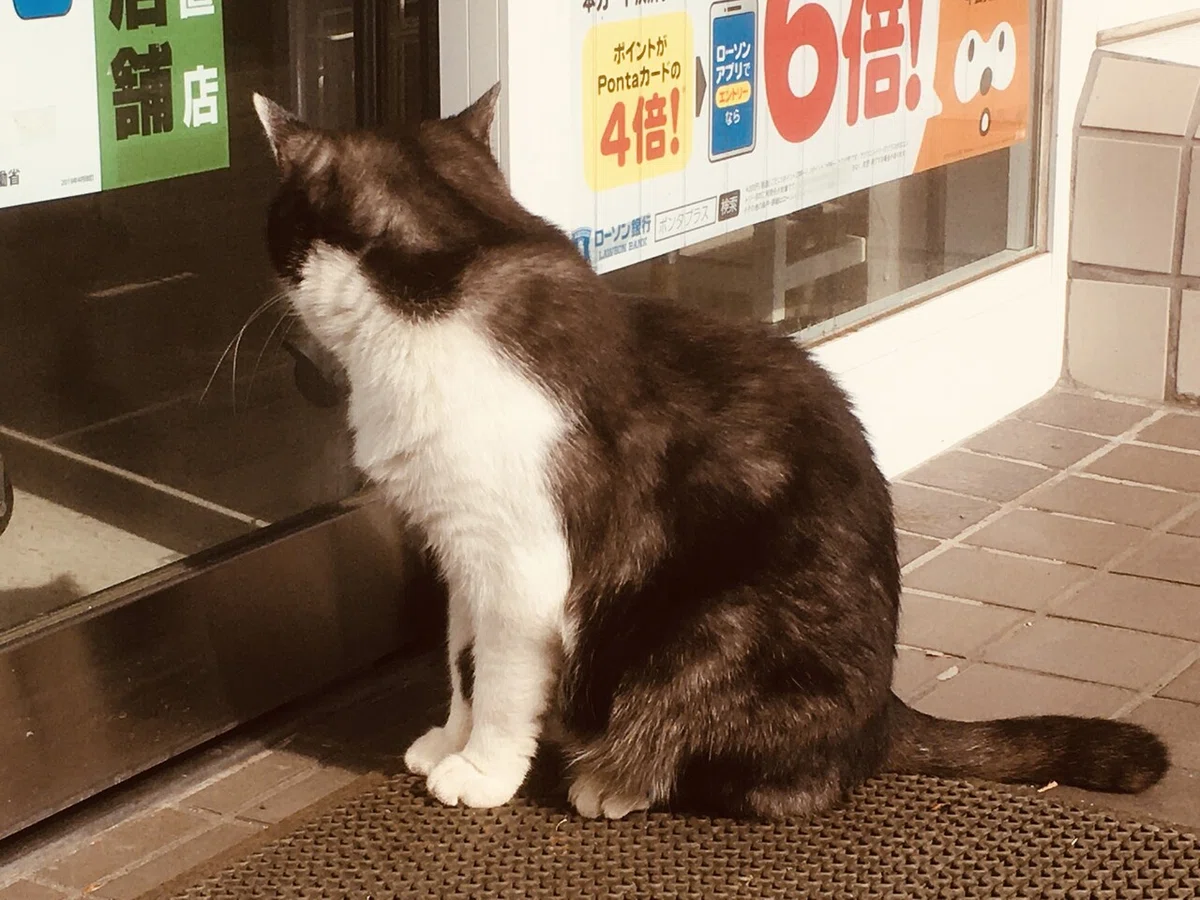 画像45