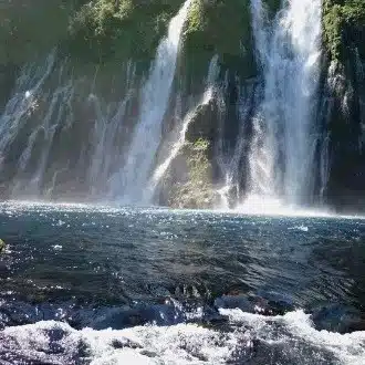 Zero Flow Company