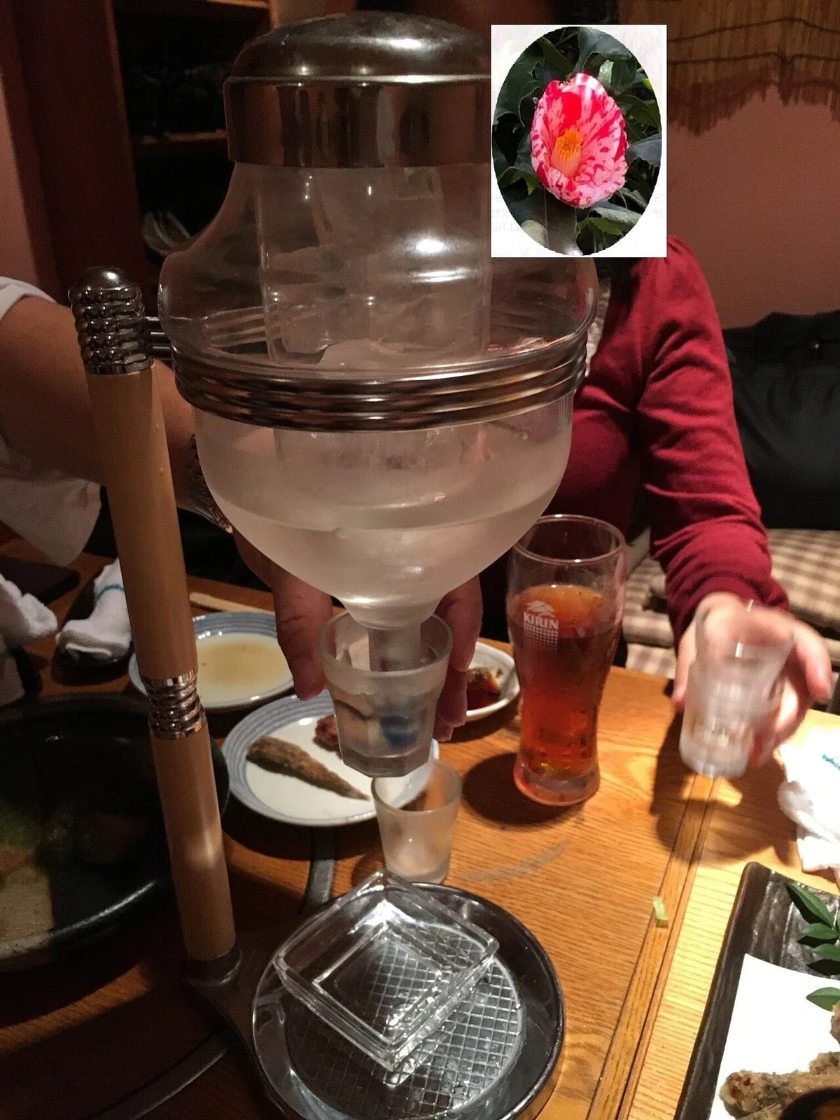 高知の歓迎会
