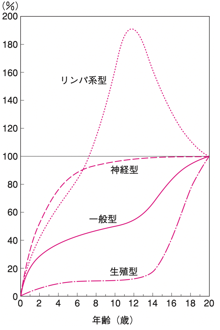 発育の概論 定義 発育の5原則 発育区分 成長発育 2020年6月21日更新 Dental Youth Share