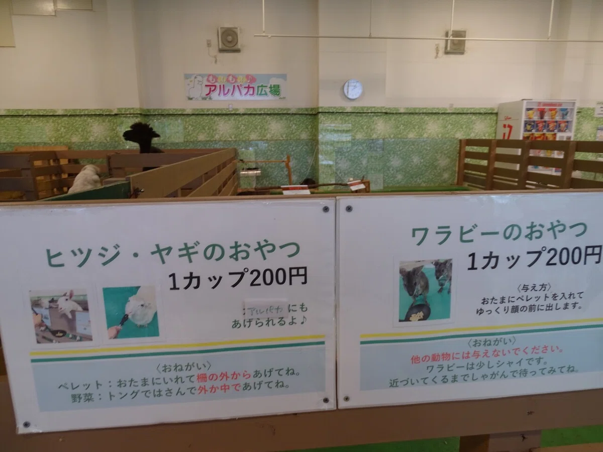 画像124