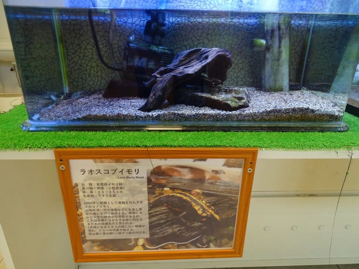 画像128