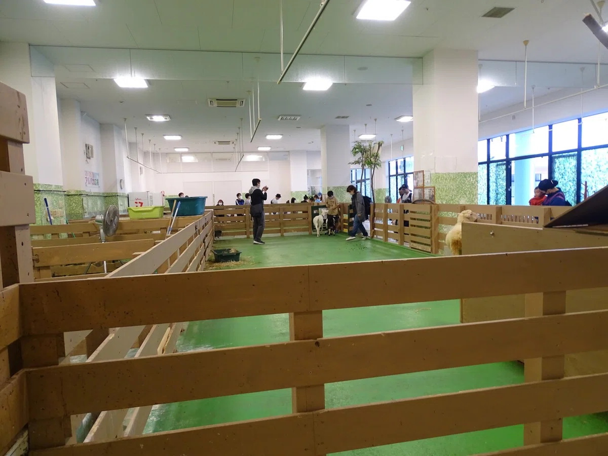 画像121