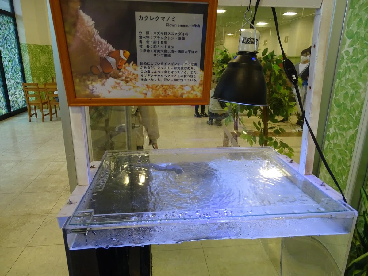 画像132
