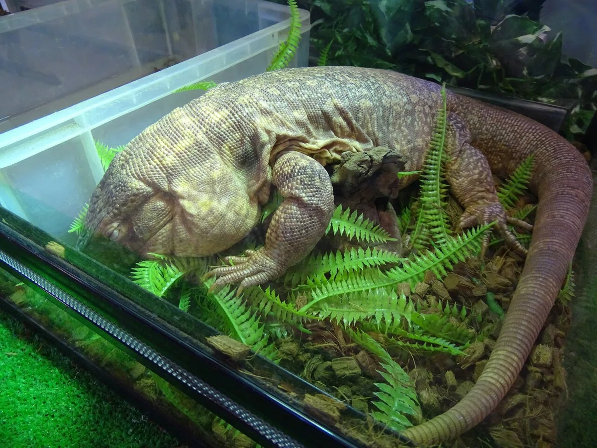 画像136