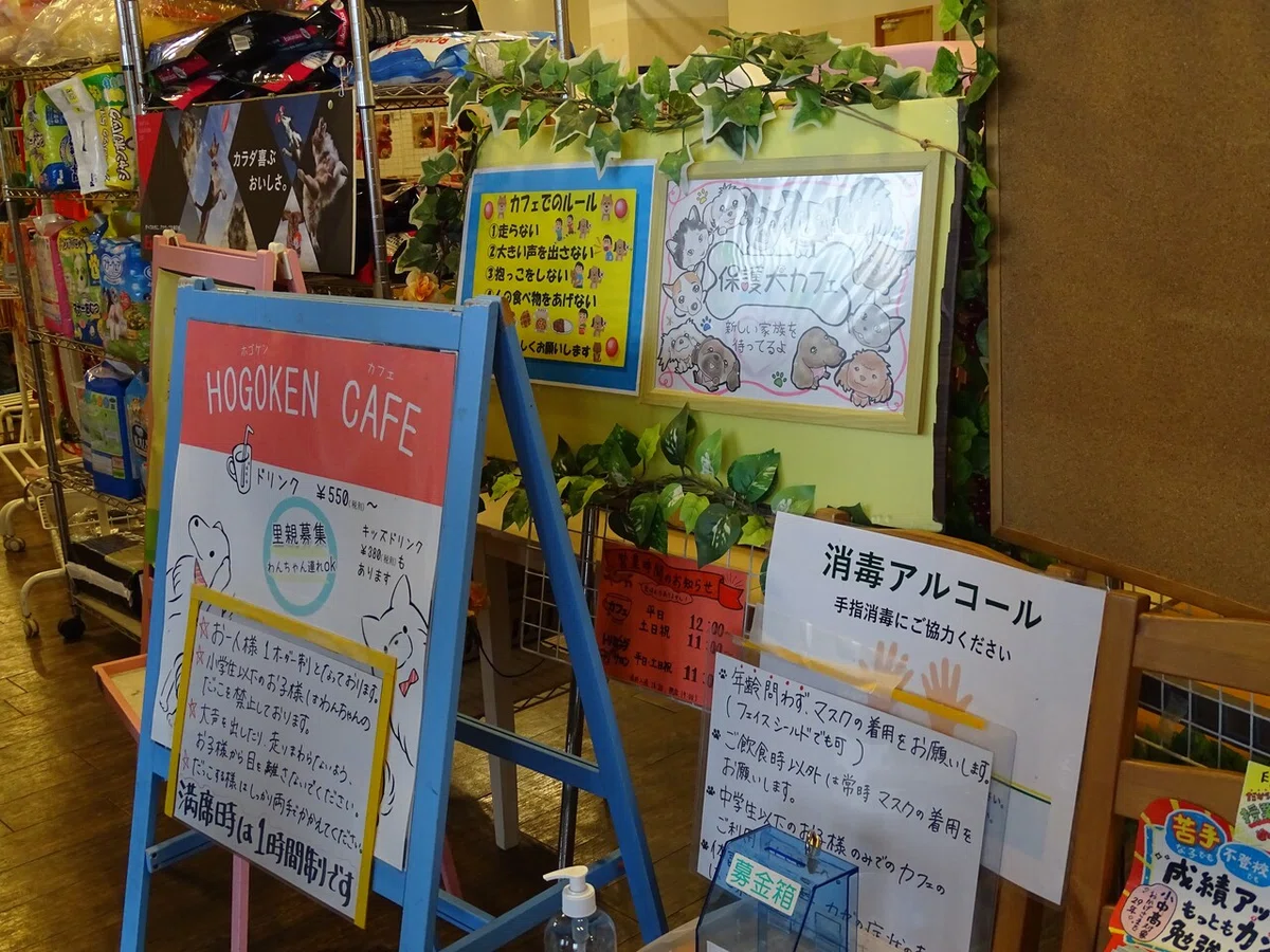 画像139