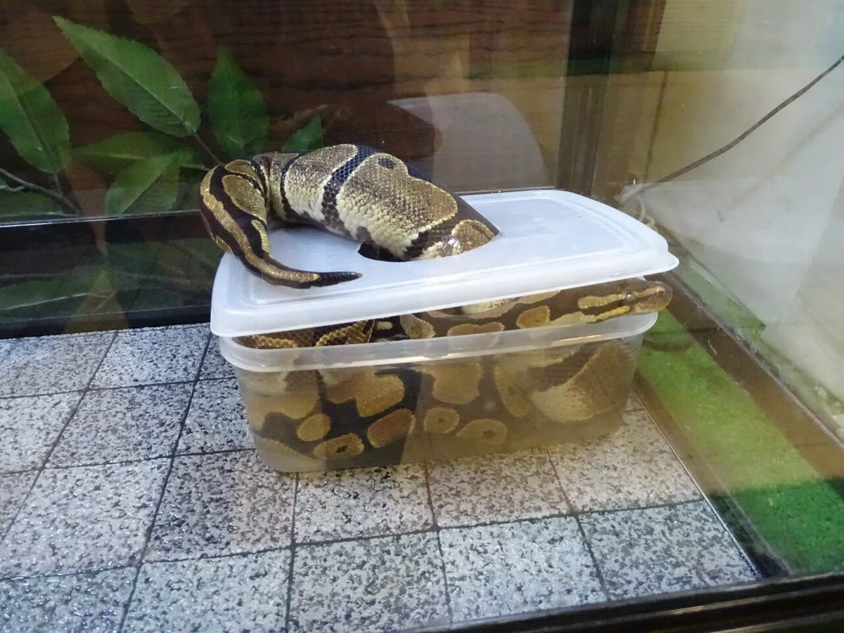 画像143