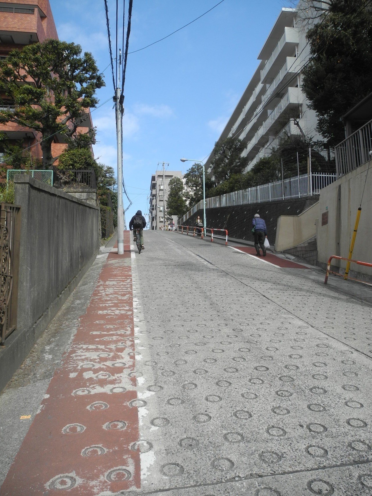 新宿にタヌキ 生息地には意外な歴史あり 連載 東京いきもの散歩 川上洋一 その１ Hayakawa Books Magazines B