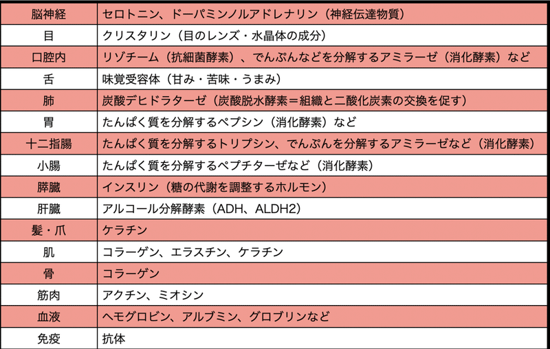 たんぱく質 使われるところ
