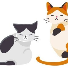 5月_猫又派遣協会_ローチェとの朝