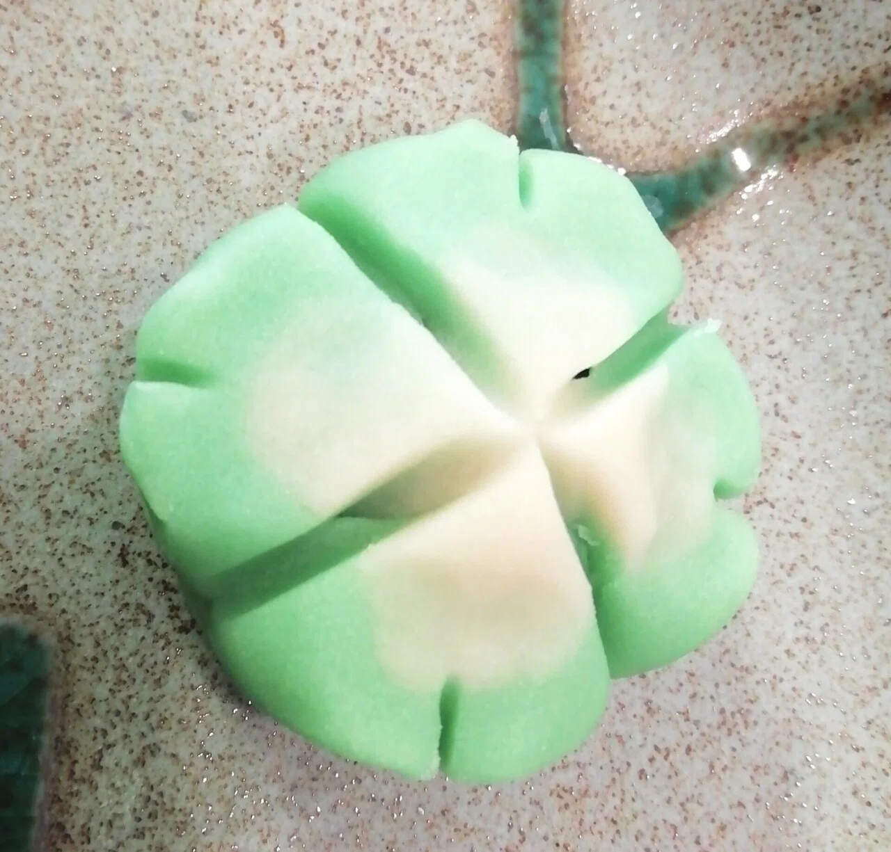 画像16