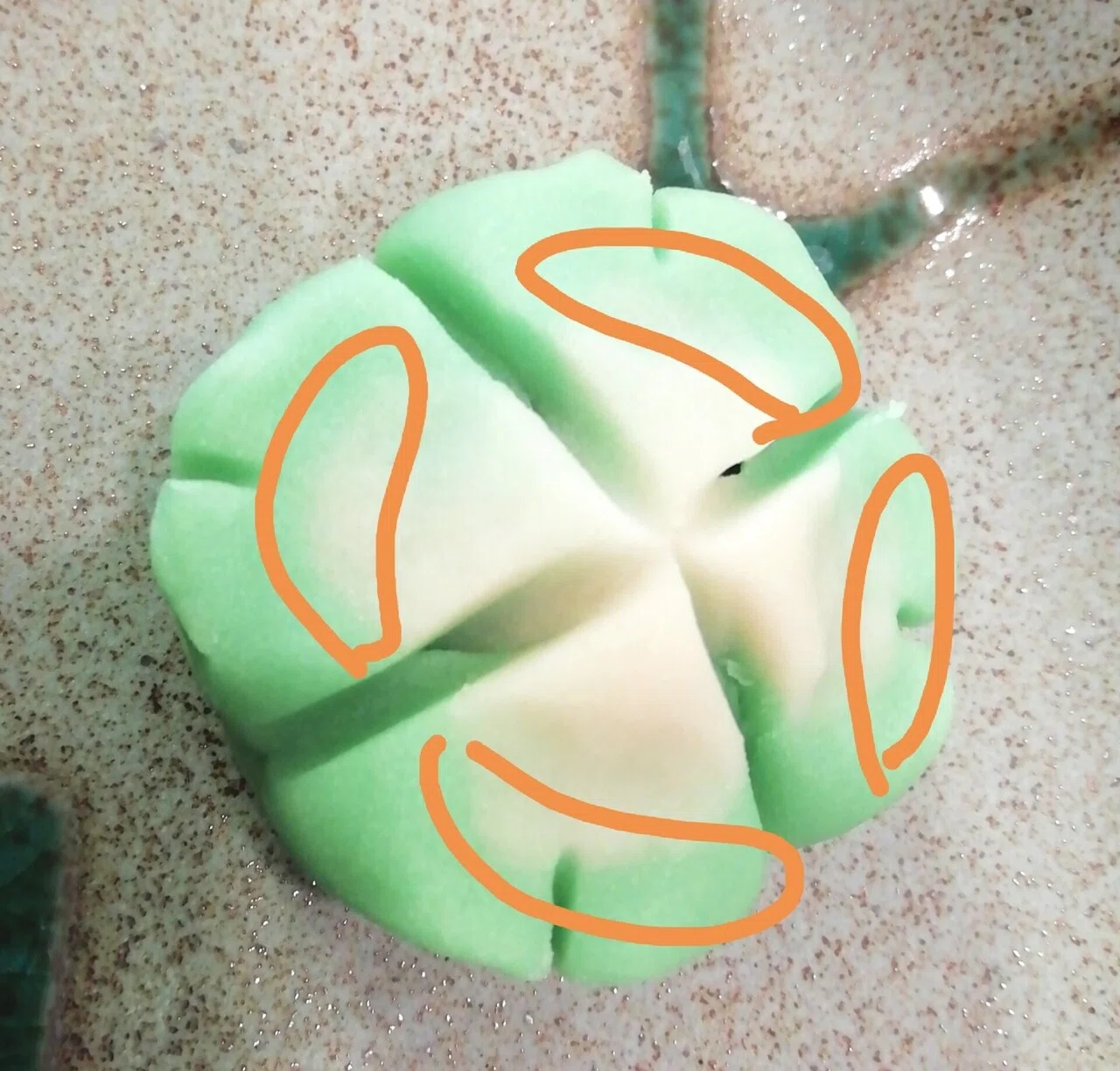 画像17