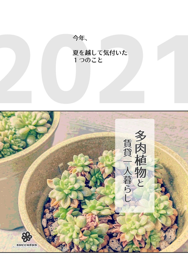 多肉植物と夏越し Succutus Note