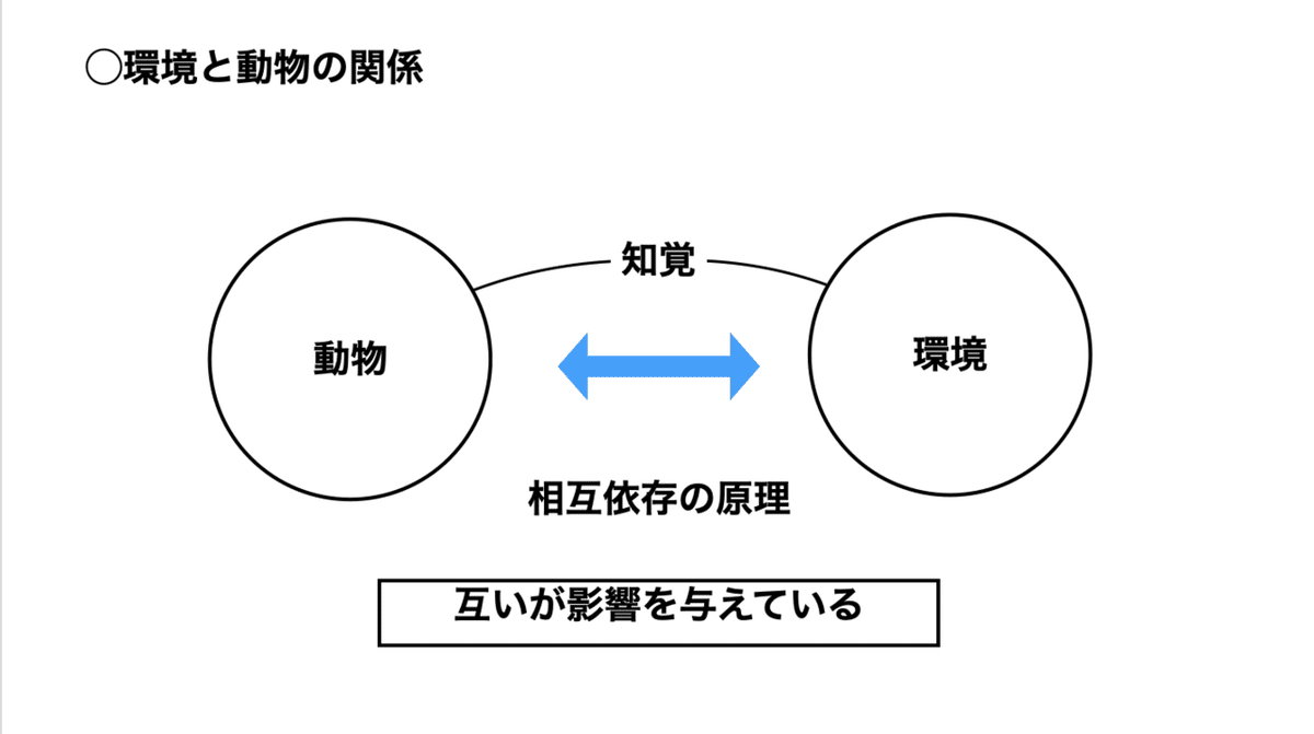 スクリーンショット 2021-10-28 22.05.32