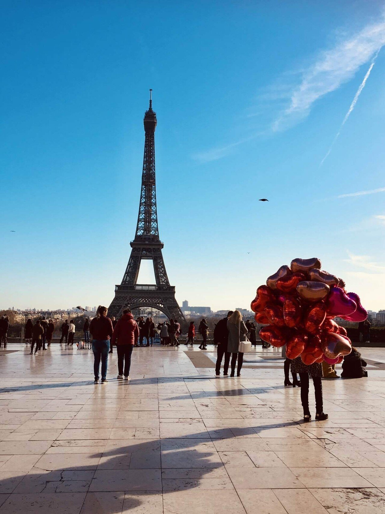 パリ散歩。桜とエッフェル塔にみとれる昼下がり。｜ひまりん/月イチ旅