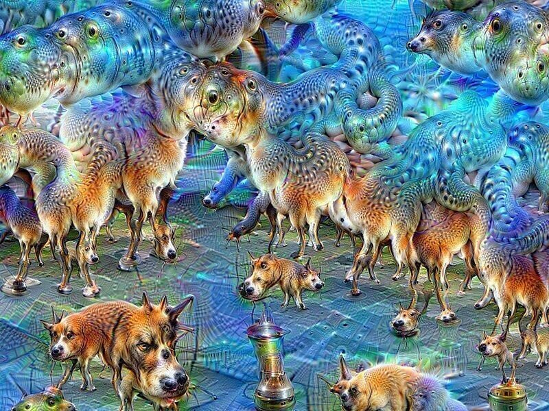 画像14
