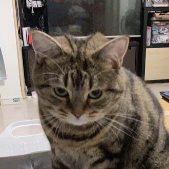 えりぶにゃ