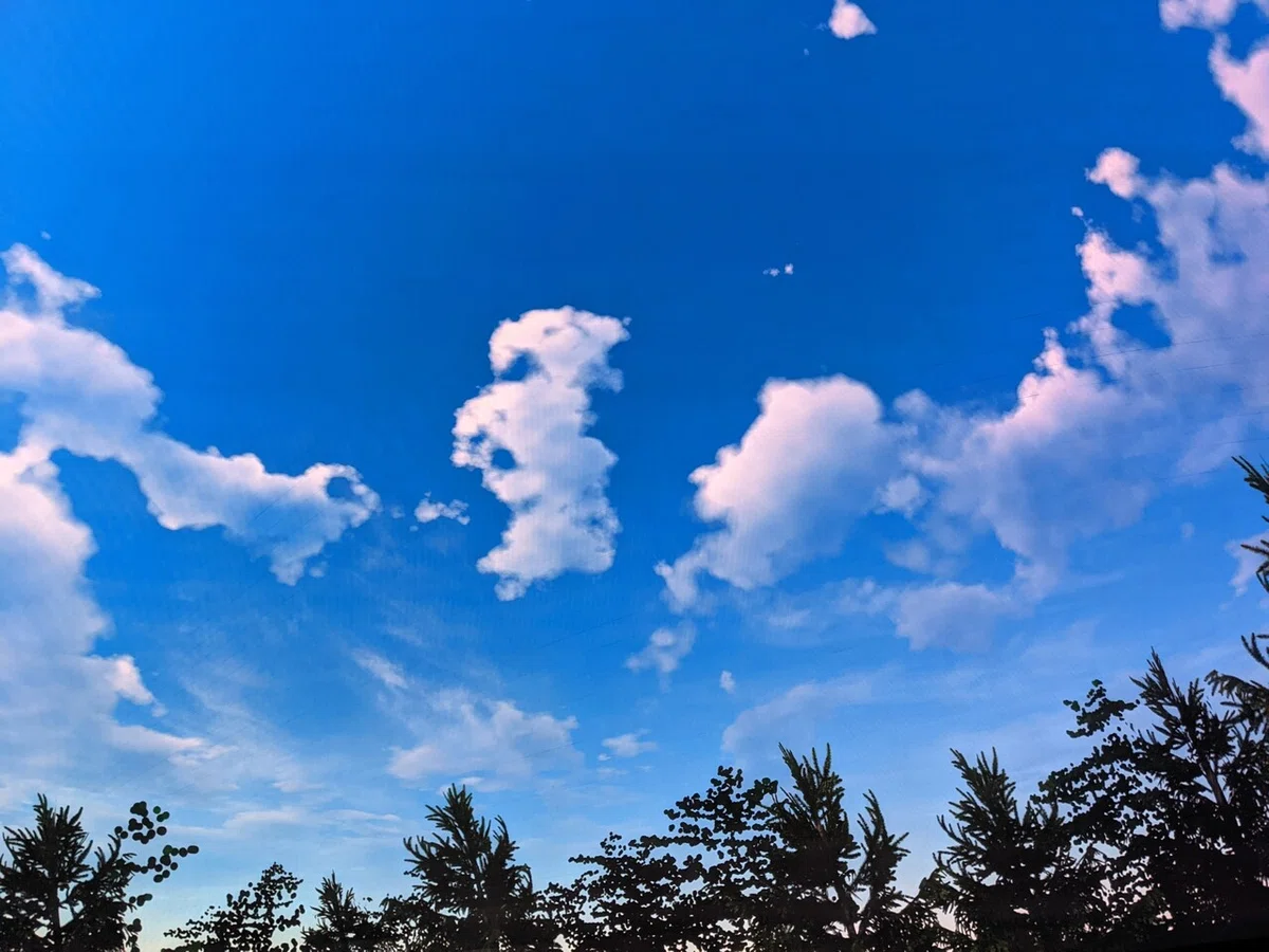 画像15