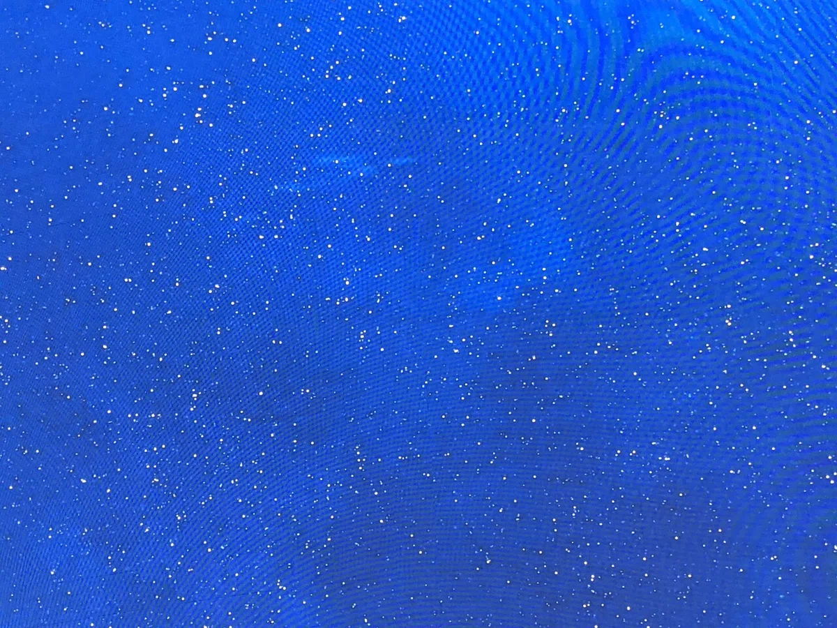 画像19